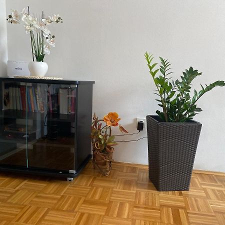 טרוגיר Apartment Miana מראה חיצוני תמונה