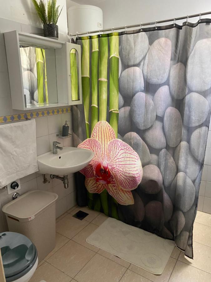 טרוגיר Apartment Miana מראה חיצוני תמונה